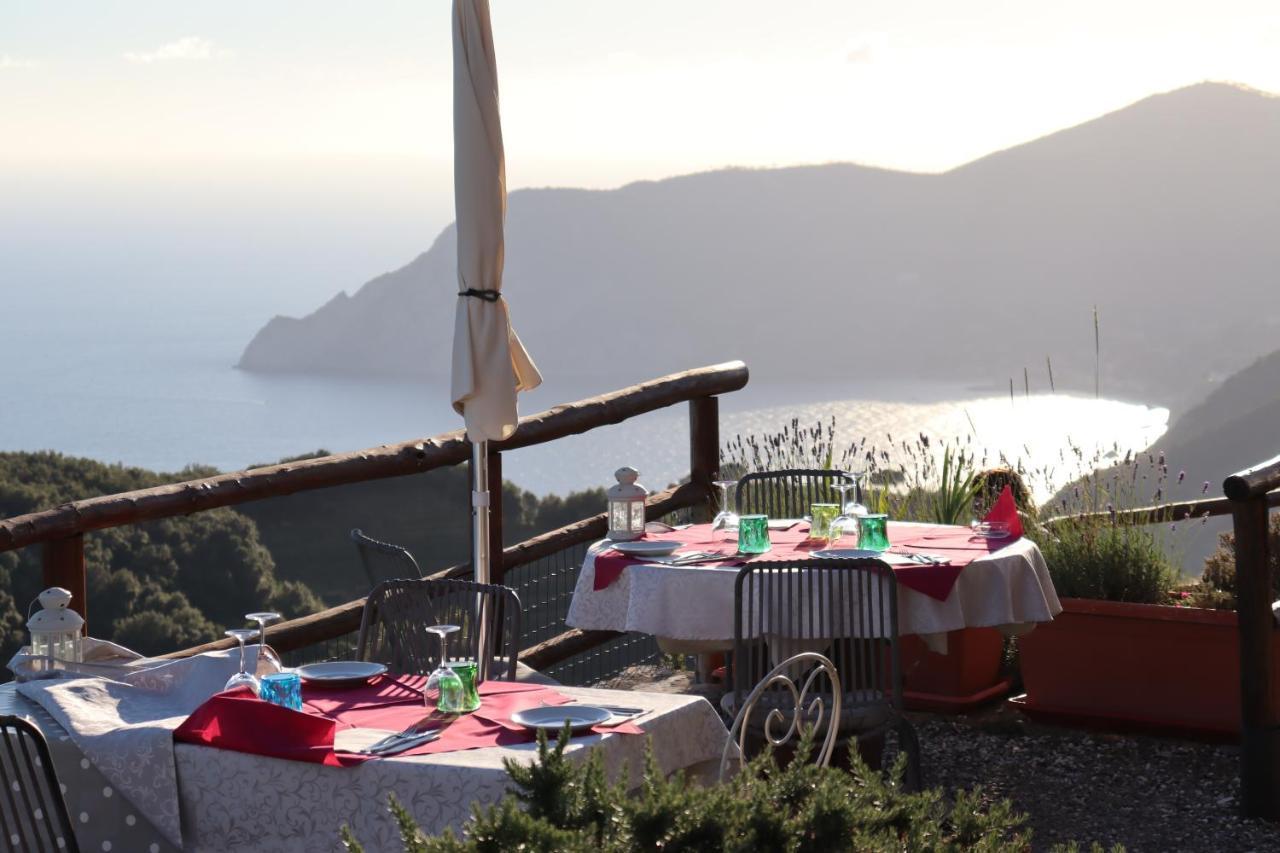 Guest house Cade Ventu