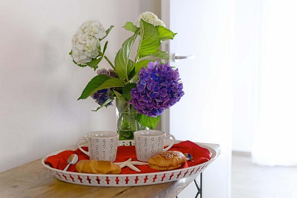 Guest house Cade Ventu *
